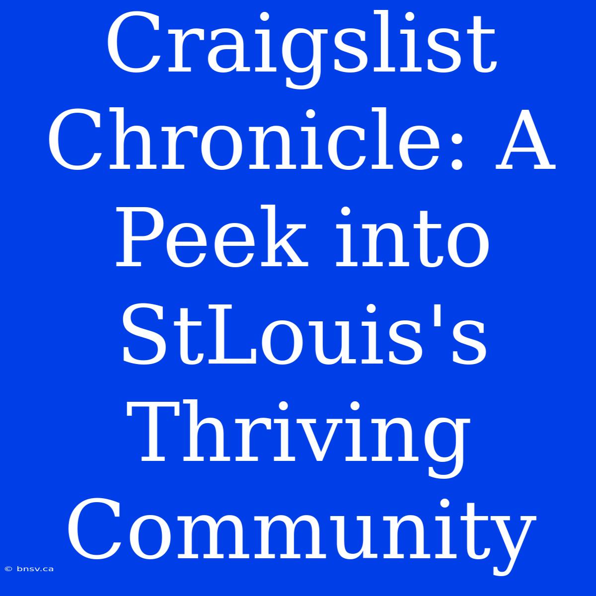 Craigslist Chronicle: A Peek Into StLouis's Thriving Community