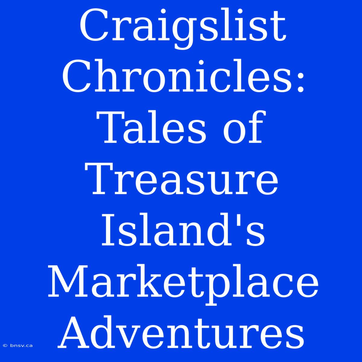 Craigslist Chronicles: Tales Of Treasure Island's Marketplace Adventures