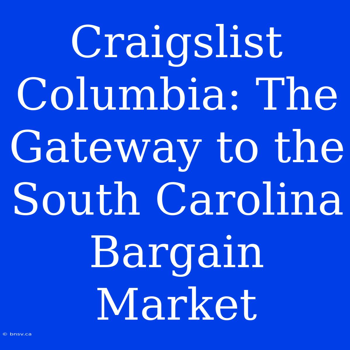 Craigslist Columbia: The Gateway To The South Carolina Bargain Market