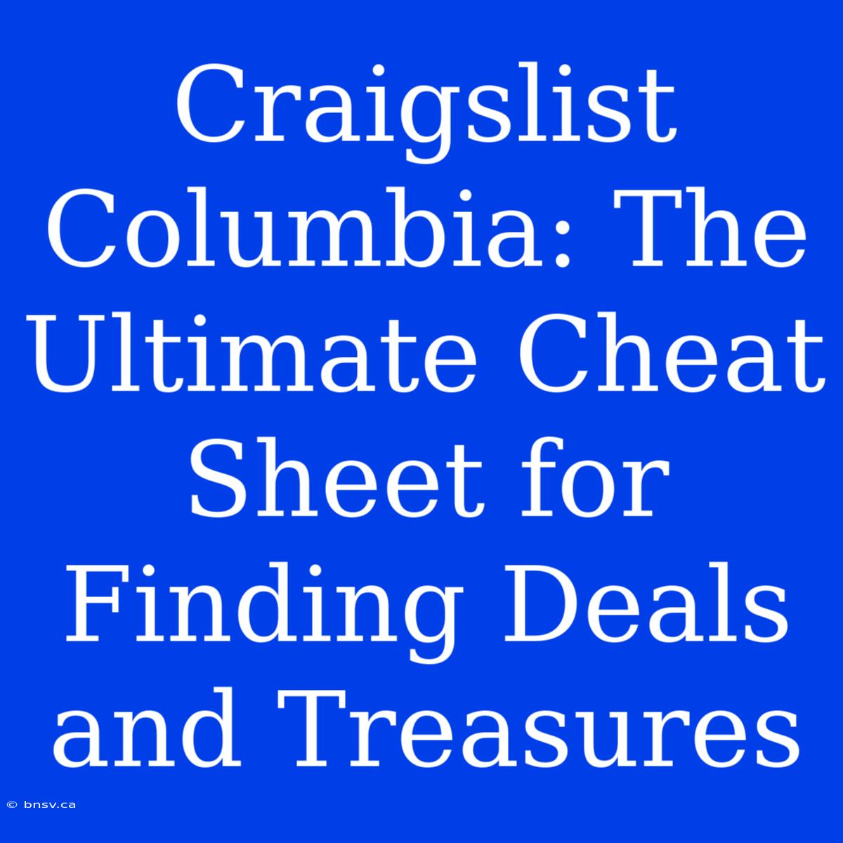 Craigslist Columbia: The Ultimate Cheat Sheet For Finding Deals And Treasures