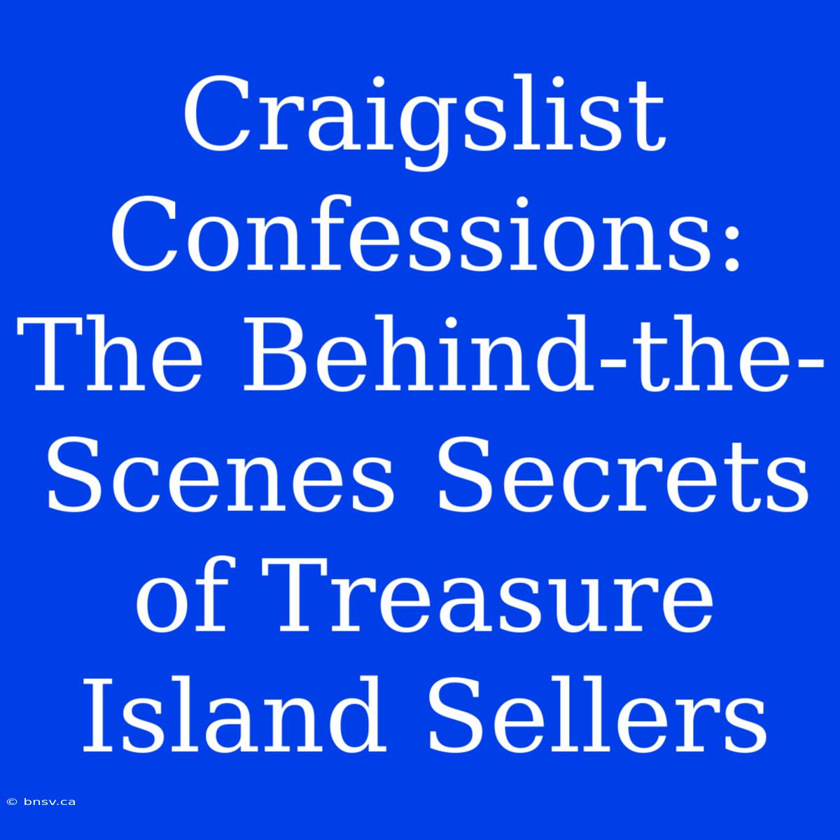 Craigslist Confessions: The Behind-the-Scenes Secrets Of Treasure Island Sellers