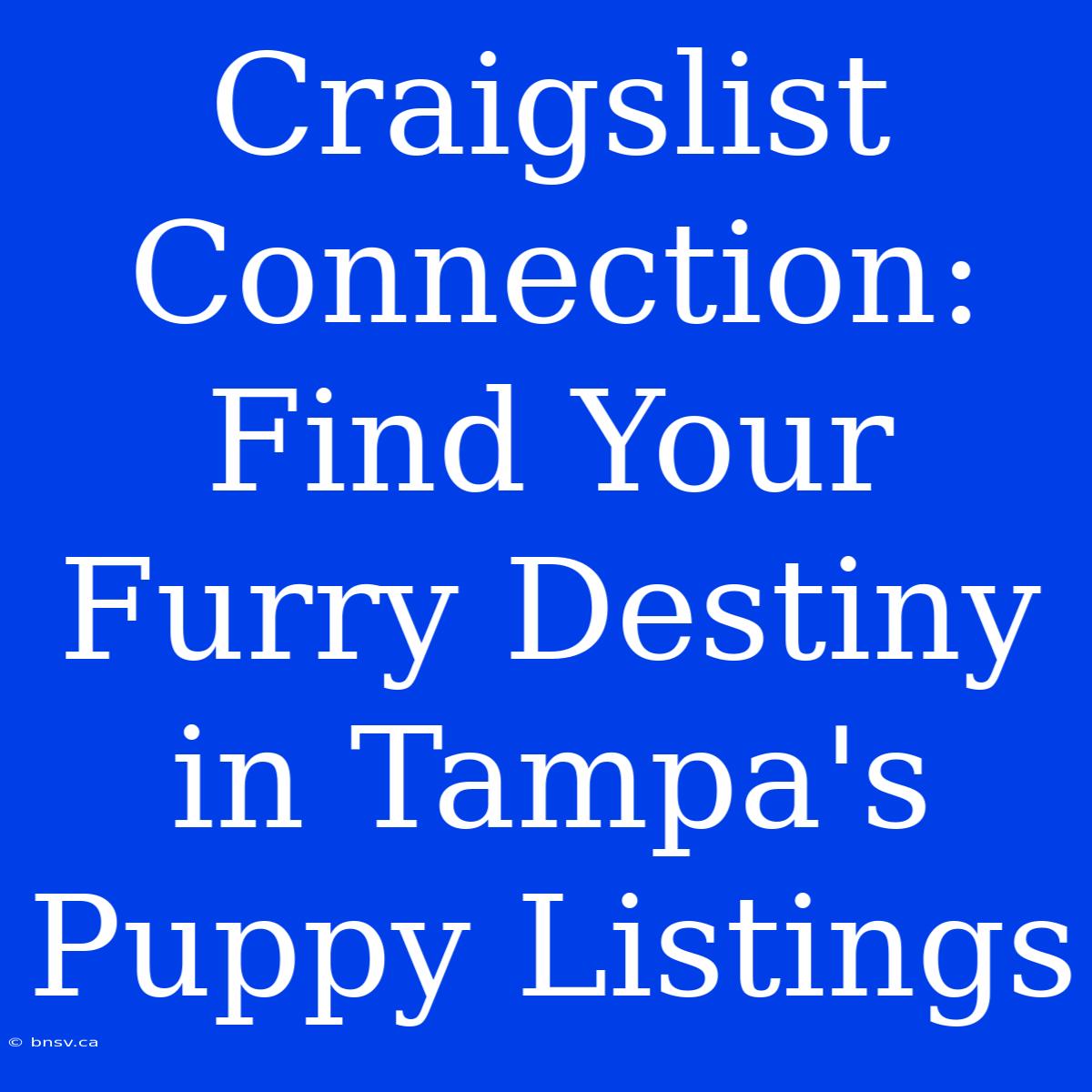 Craigslist Connection: Find Your Furry Destiny In Tampa's Puppy Listings