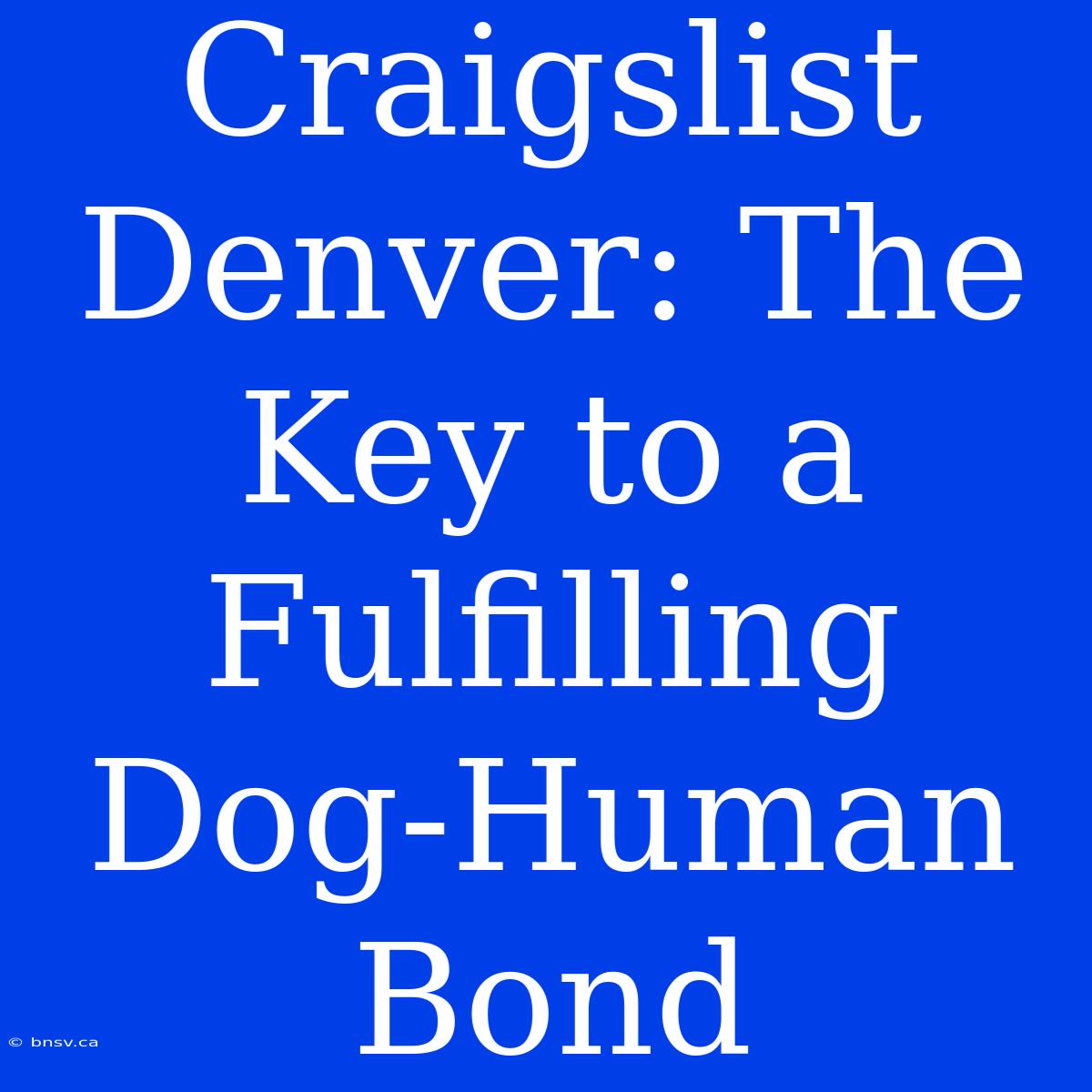 Craigslist Denver: The Key To A Fulfilling Dog-Human Bond