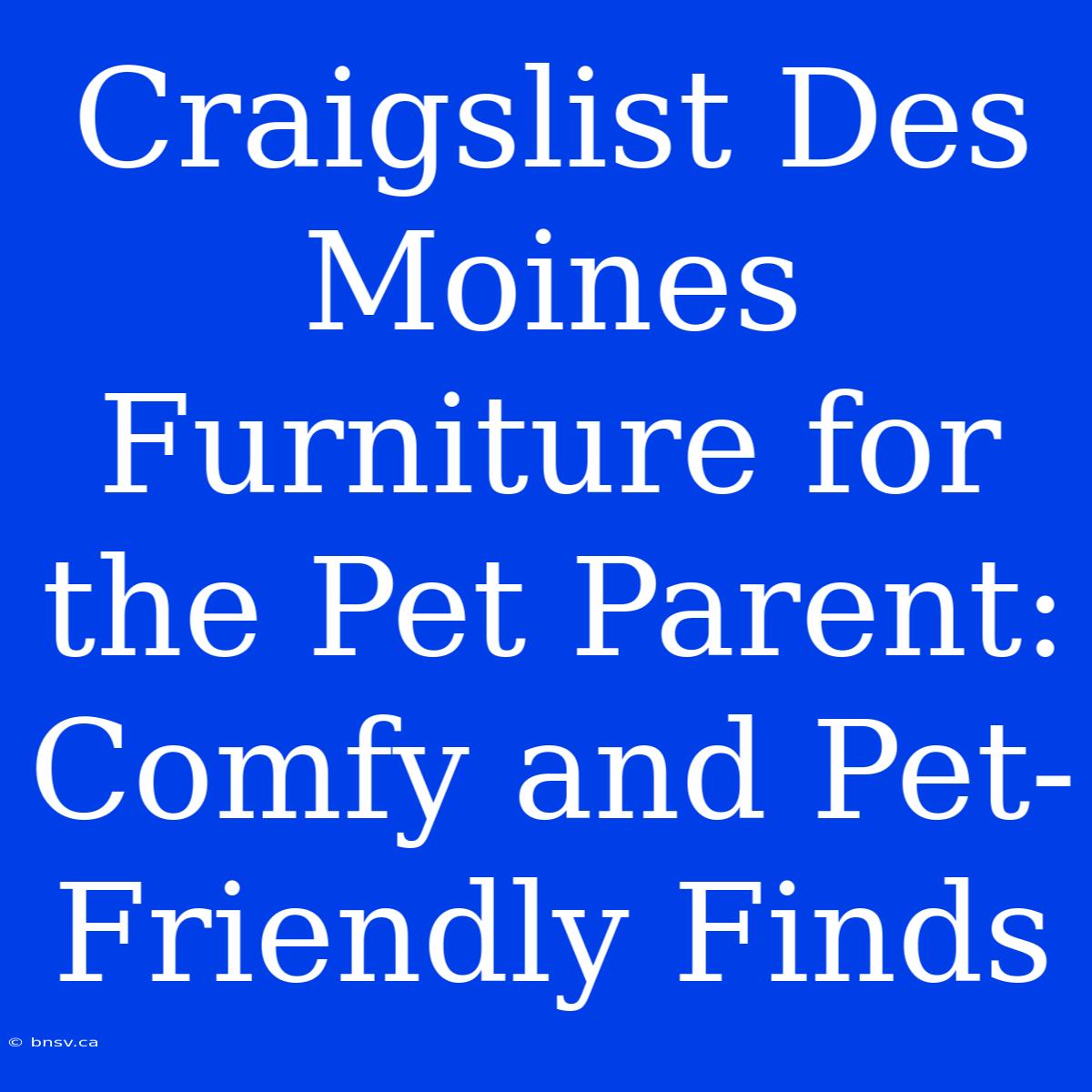 Craigslist Des Moines Furniture For The Pet Parent: Comfy And Pet-Friendly Finds