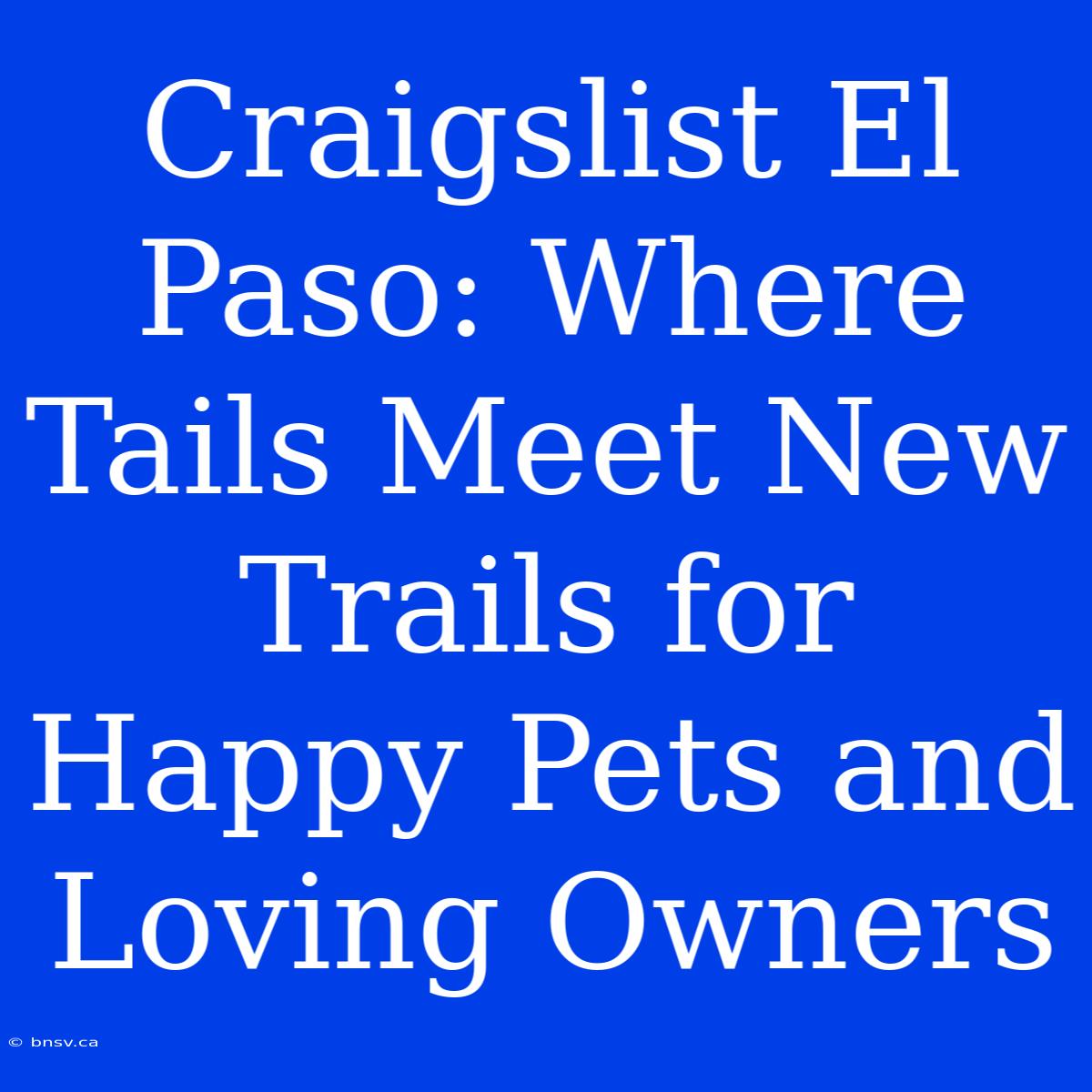 Craigslist El Paso: Where Tails Meet New Trails For Happy Pets And Loving Owners