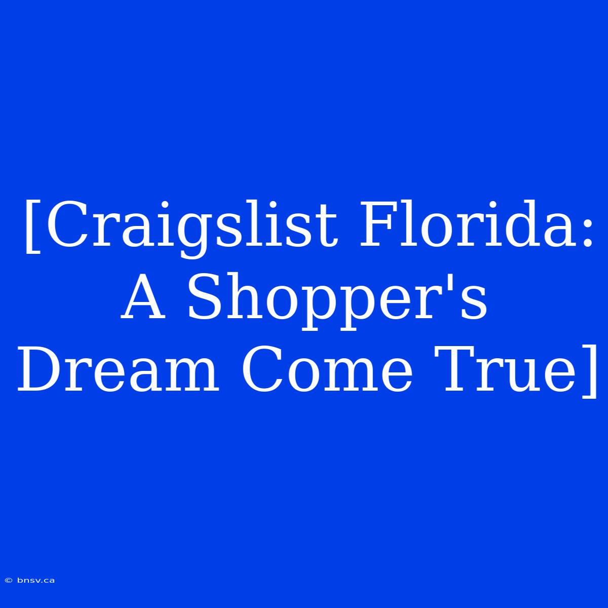 [Craigslist Florida: A Shopper's Dream Come True]