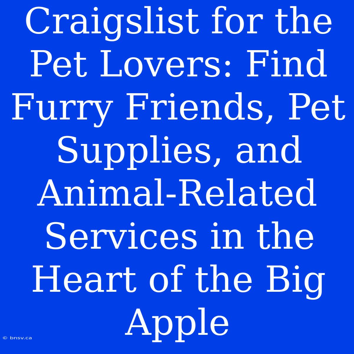 Craigslist For The Pet Lovers: Find Furry Friends, Pet Supplies, And Animal-Related Services In The Heart Of The Big Apple