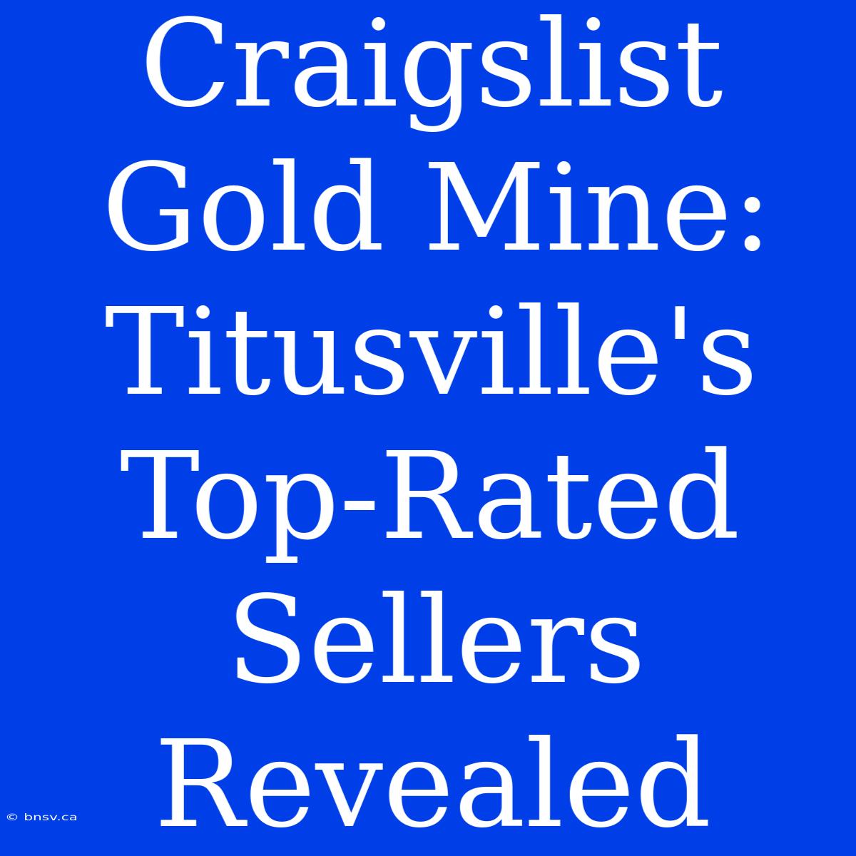 Craigslist Gold Mine: Titusville's Top-Rated Sellers Revealed