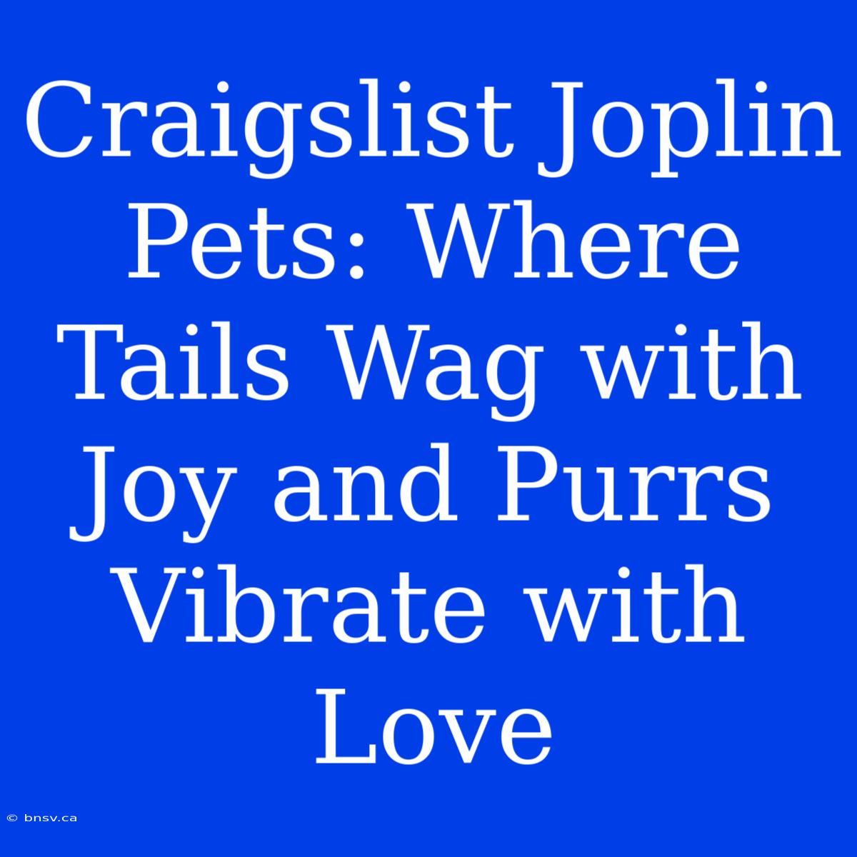 Craigslist Joplin Pets: Where Tails Wag With Joy And Purrs Vibrate With Love