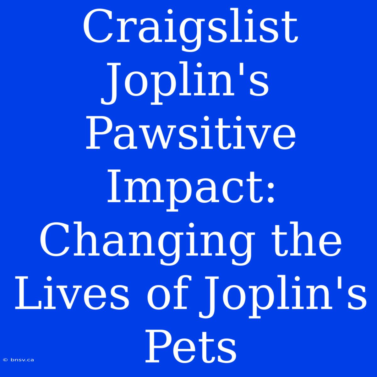 Craigslist Joplin's Pawsitive Impact: Changing The Lives Of Joplin's Pets