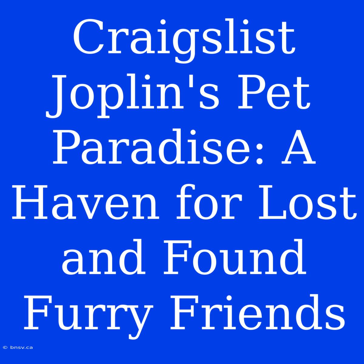 Craigslist Joplin's Pet Paradise: A Haven For Lost And Found Furry Friends