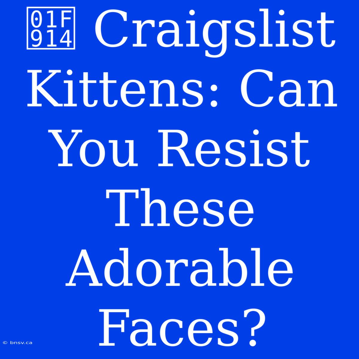 🤔 Craigslist Kittens: Can You Resist These Adorable Faces?