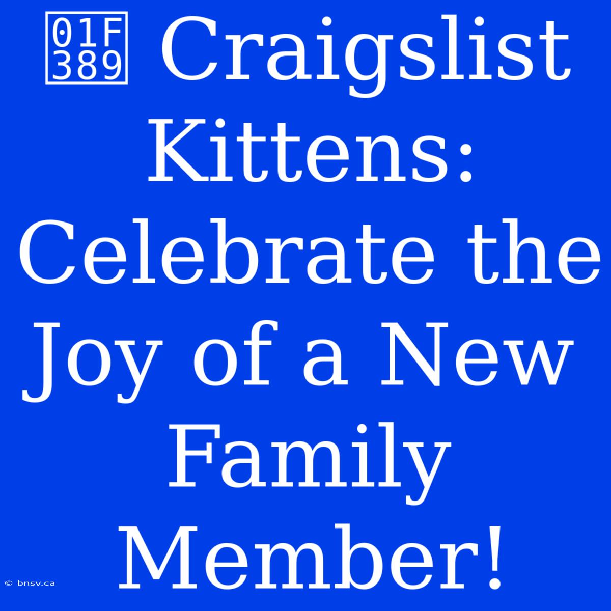 🎉 Craigslist Kittens: Celebrate The Joy Of A New Family Member!