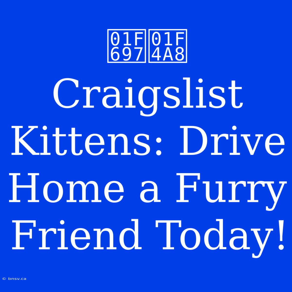 🚗💨 Craigslist Kittens: Drive Home A Furry Friend Today!