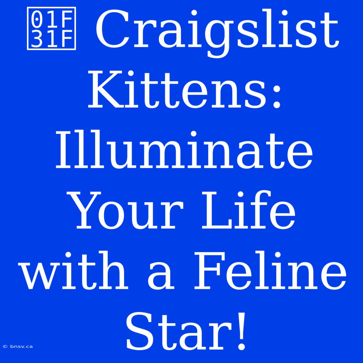 🌟 Craigslist Kittens: Illuminate Your Life With A Feline Star!