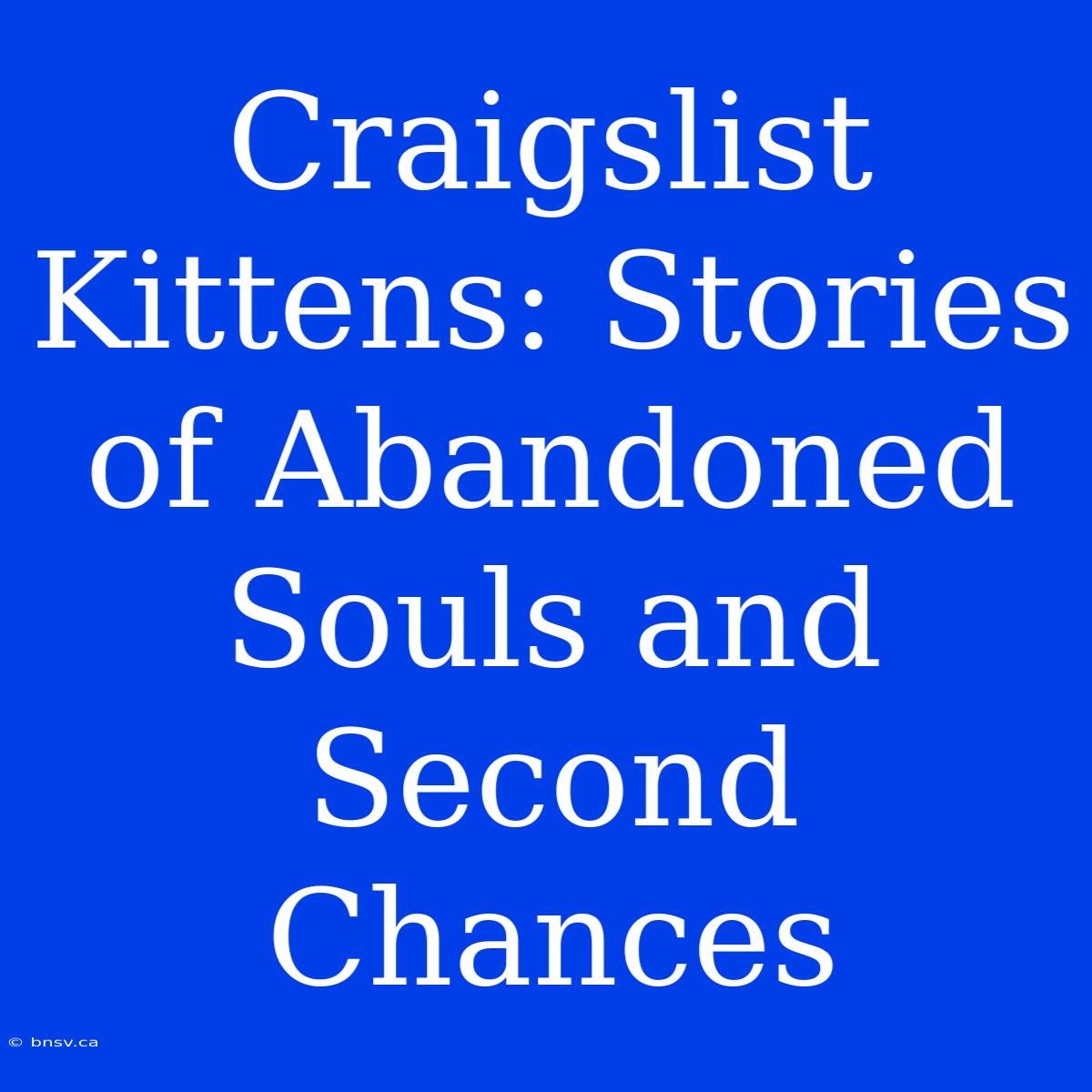 Craigslist Kittens: Stories Of Abandoned Souls And Second Chances