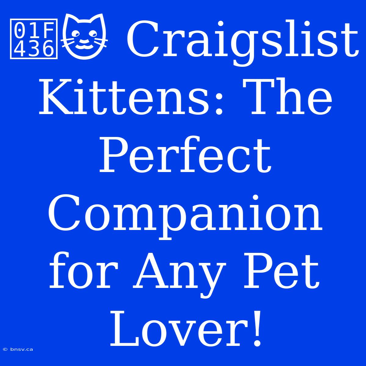 🐶🐱 Craigslist Kittens: The Perfect Companion For Any Pet Lover!