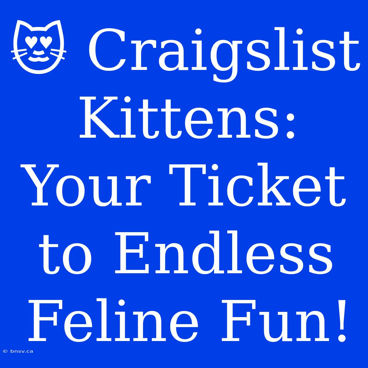 😻 Craigslist Kittens: Your Ticket To Endless Feline Fun!