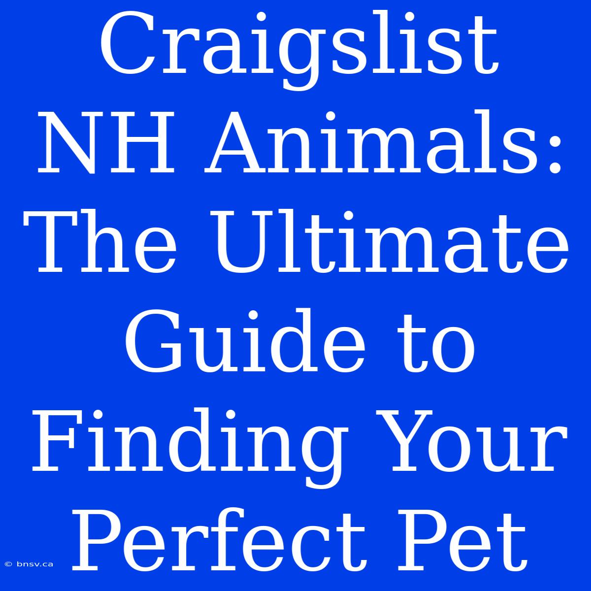 Craigslist NH Animals: The Ultimate Guide To Finding Your Perfect Pet