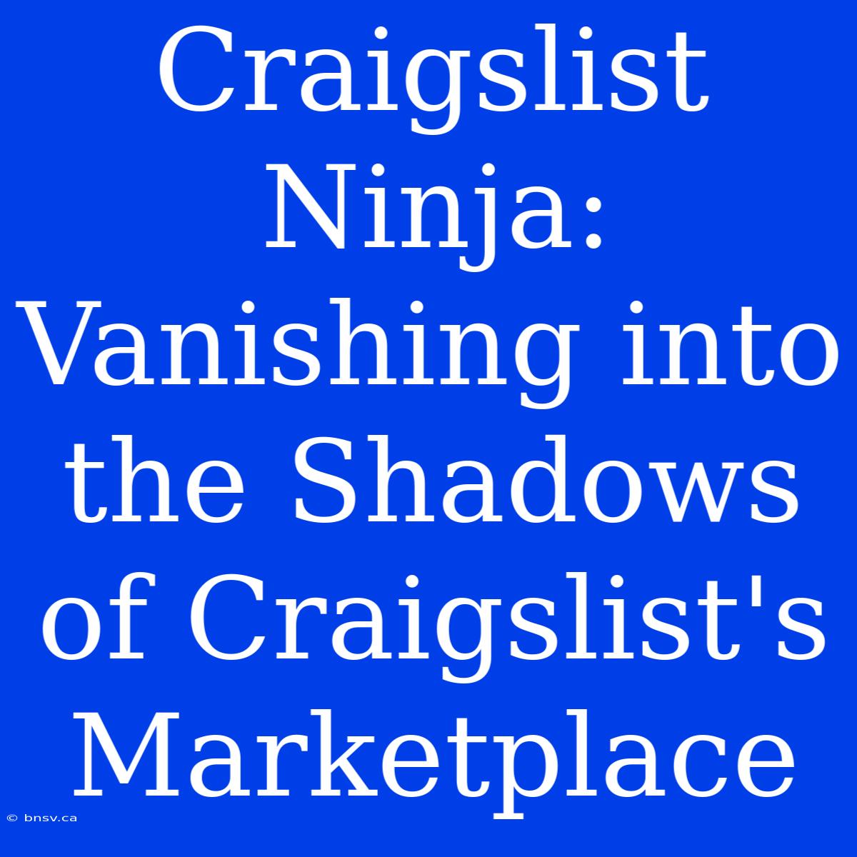 Craigslist Ninja: Vanishing Into The Shadows Of Craigslist's Marketplace