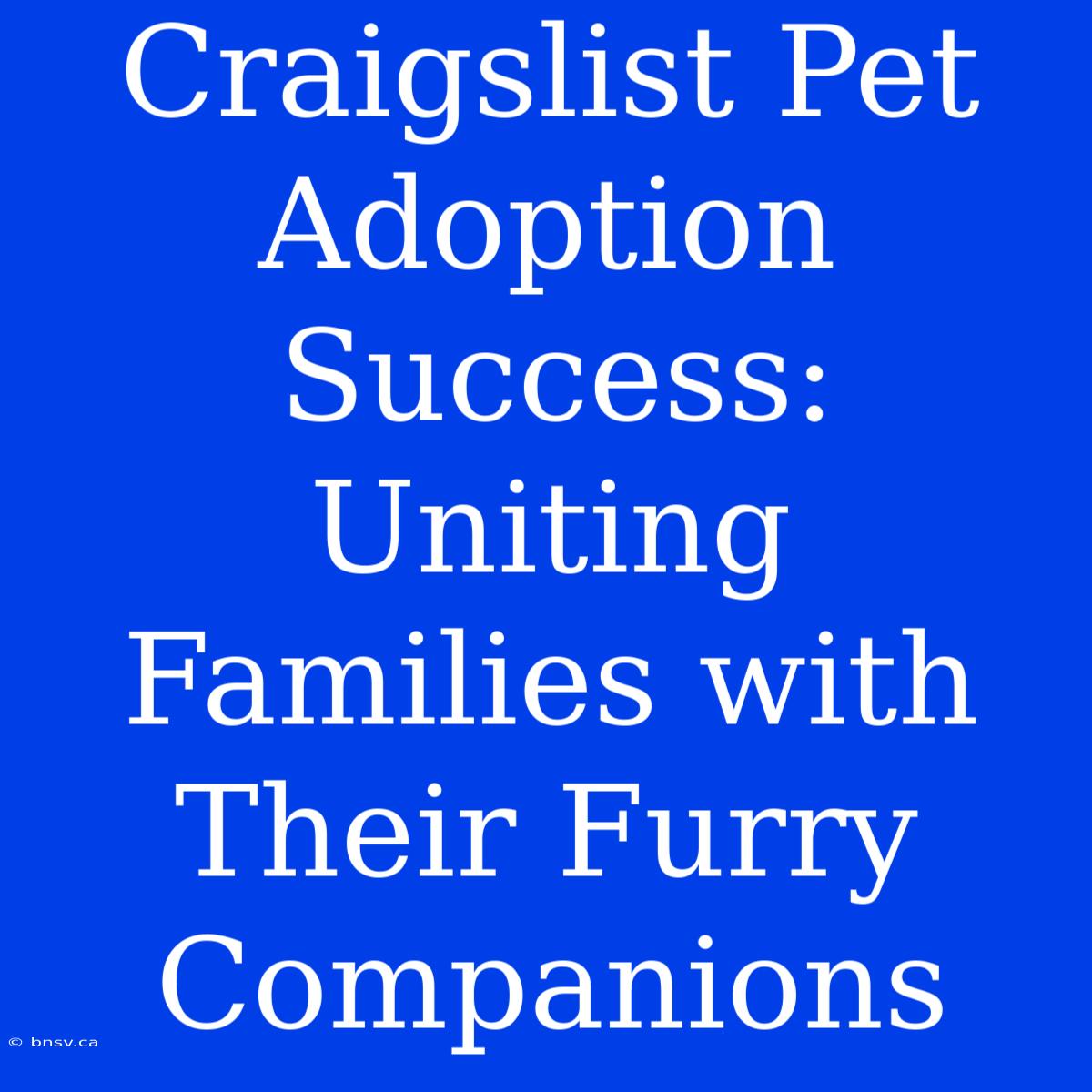 Craigslist Pet Adoption Success: Uniting Families With Their Furry Companions