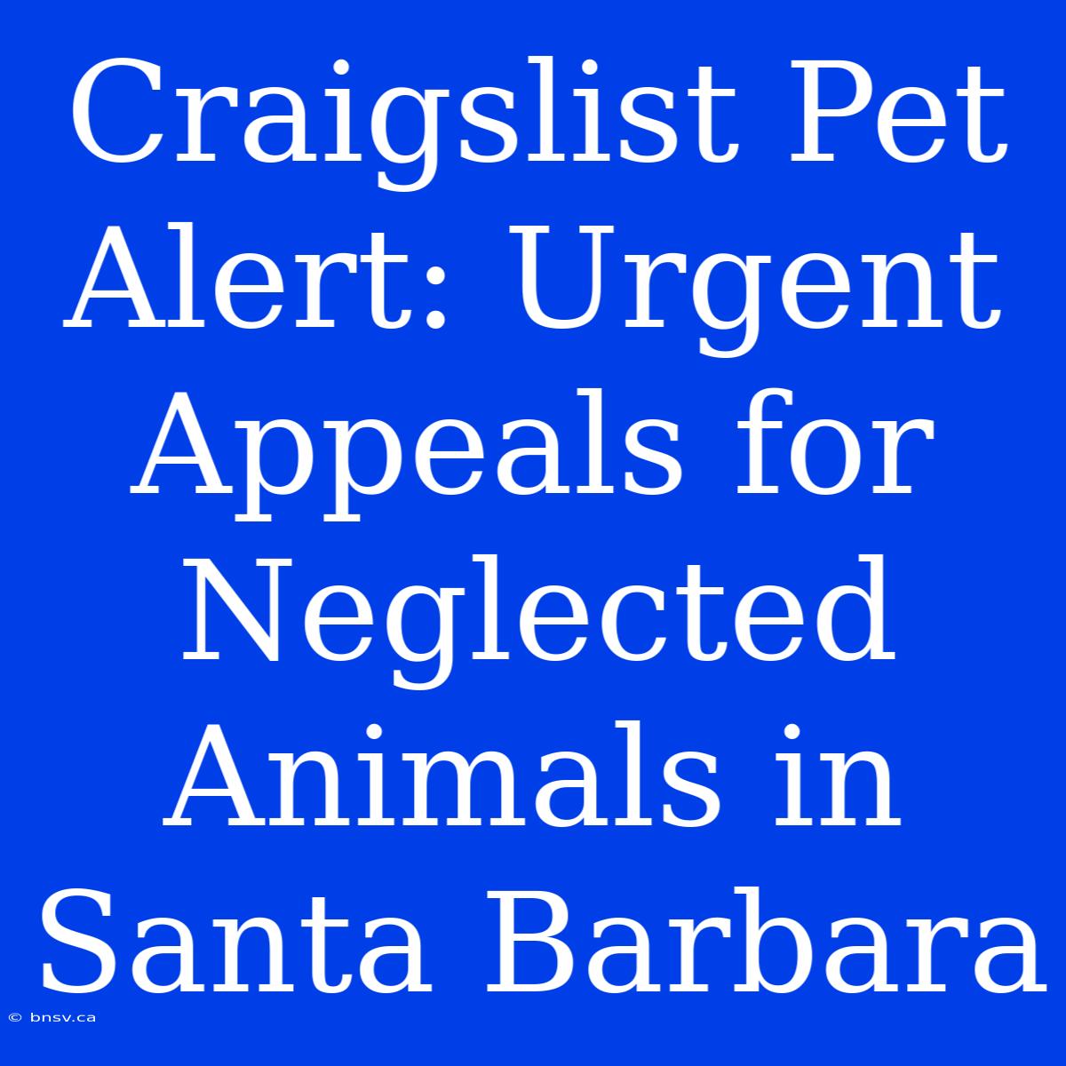 Craigslist Pet Alert: Urgent Appeals For Neglected Animals In Santa Barbara