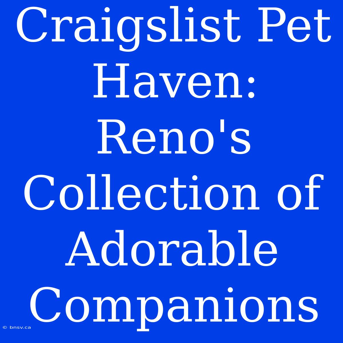 Craigslist Pet Haven: Reno's Collection Of Adorable Companions