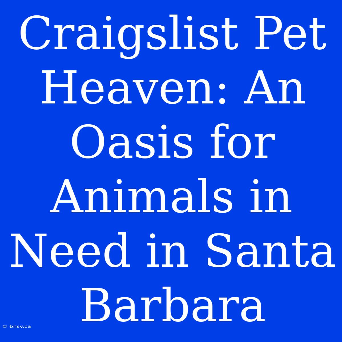 Craigslist Pet Heaven: An Oasis For Animals In Need In Santa Barbara