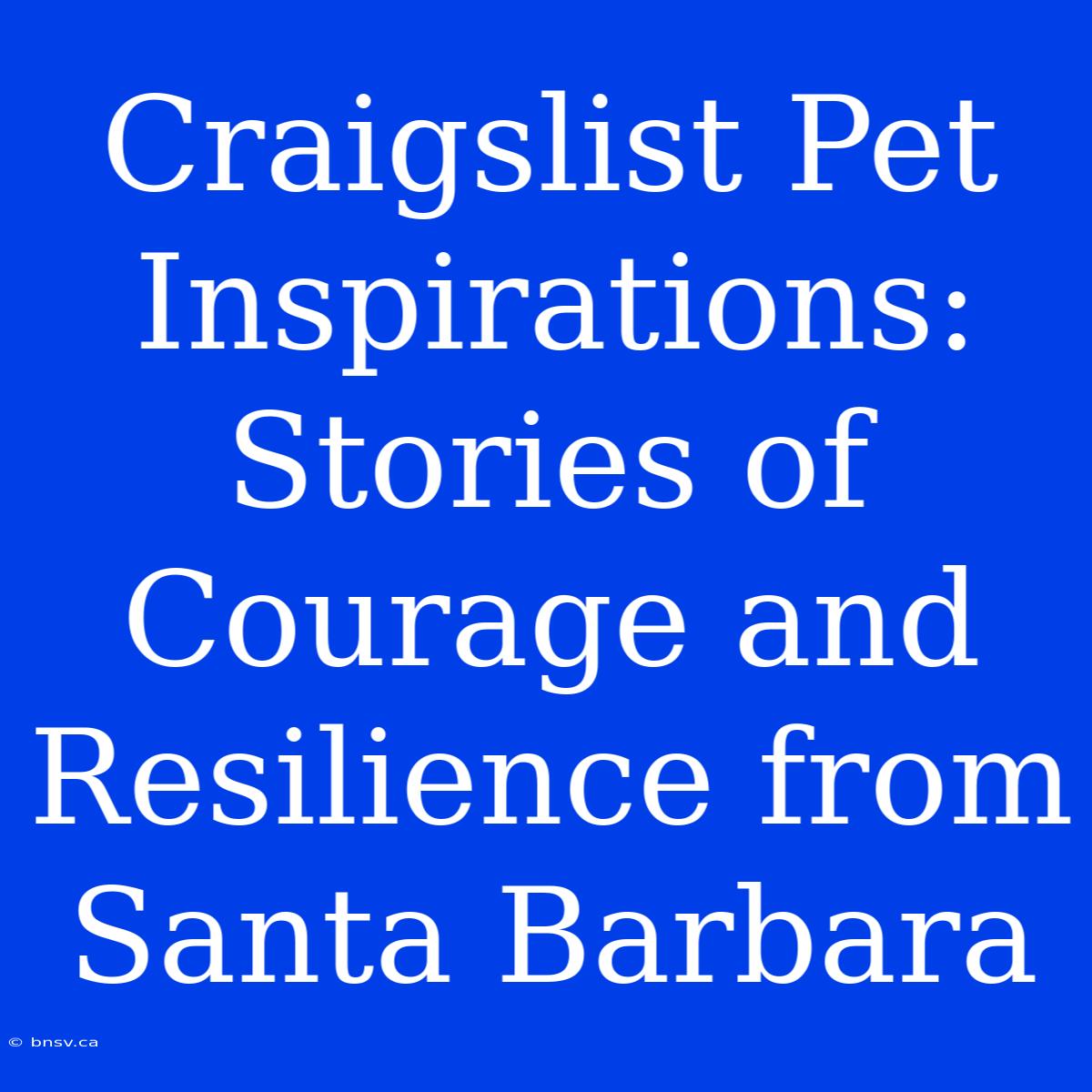 Craigslist Pet Inspirations: Stories Of Courage And Resilience From Santa Barbara