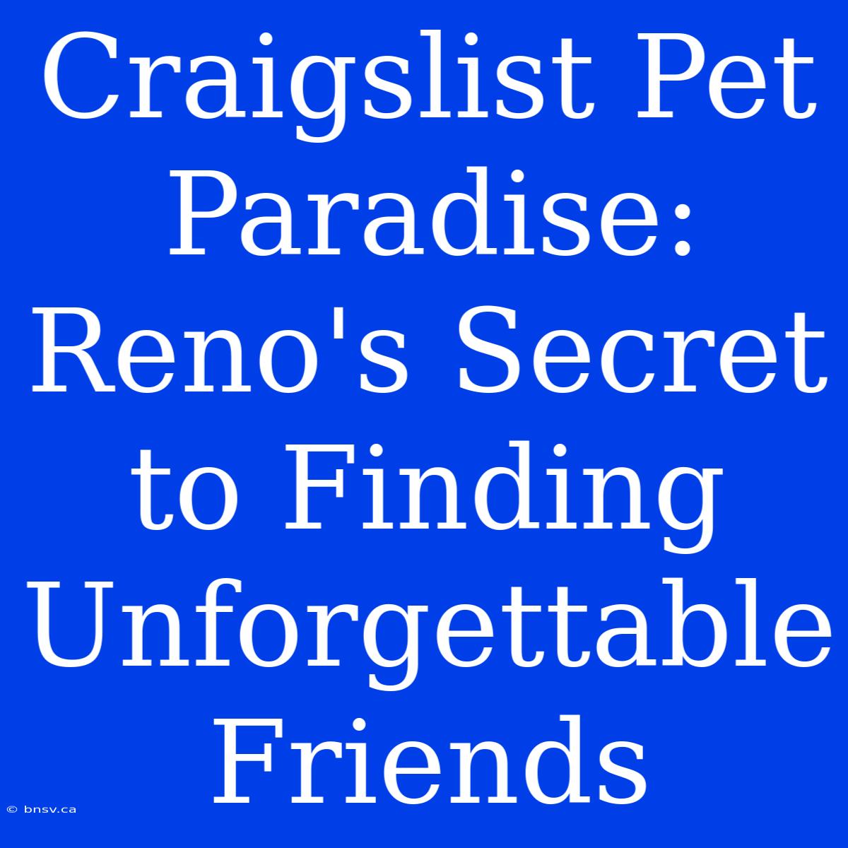 Craigslist Pet Paradise: Reno's Secret To Finding Unforgettable Friends