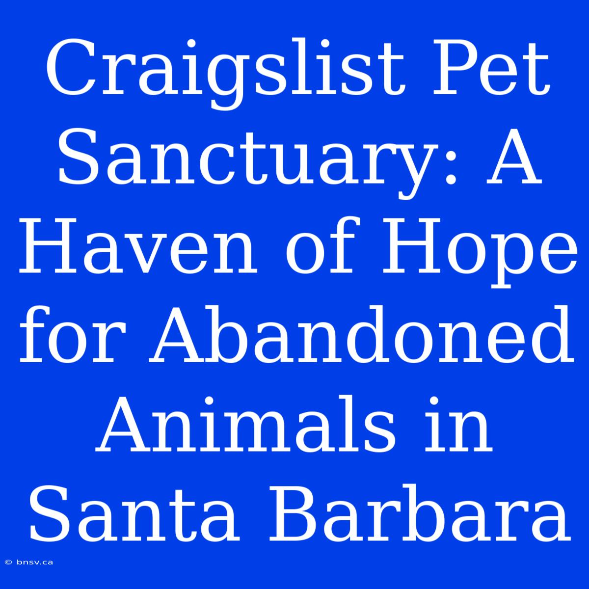 Craigslist Pet Sanctuary: A Haven Of Hope For Abandoned Animals In Santa Barbara