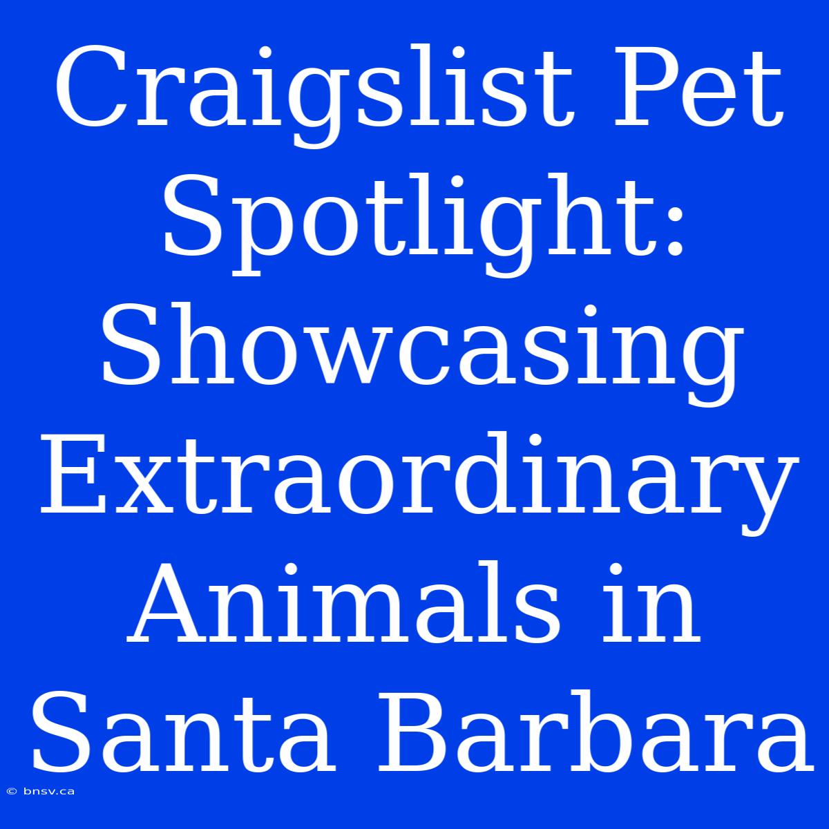 Craigslist Pet Spotlight: Showcasing Extraordinary Animals In Santa Barbara