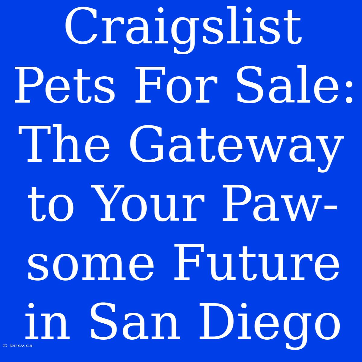 Craigslist Pets For Sale: The Gateway To Your Paw-some Future In San Diego