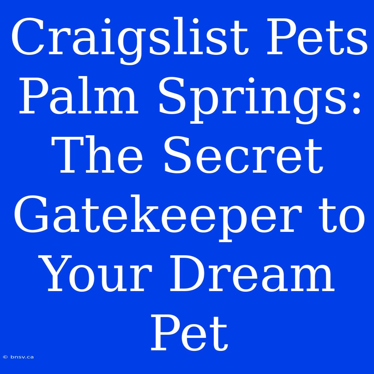 Craigslist Pets Palm Springs: The Secret Gatekeeper To Your Dream Pet