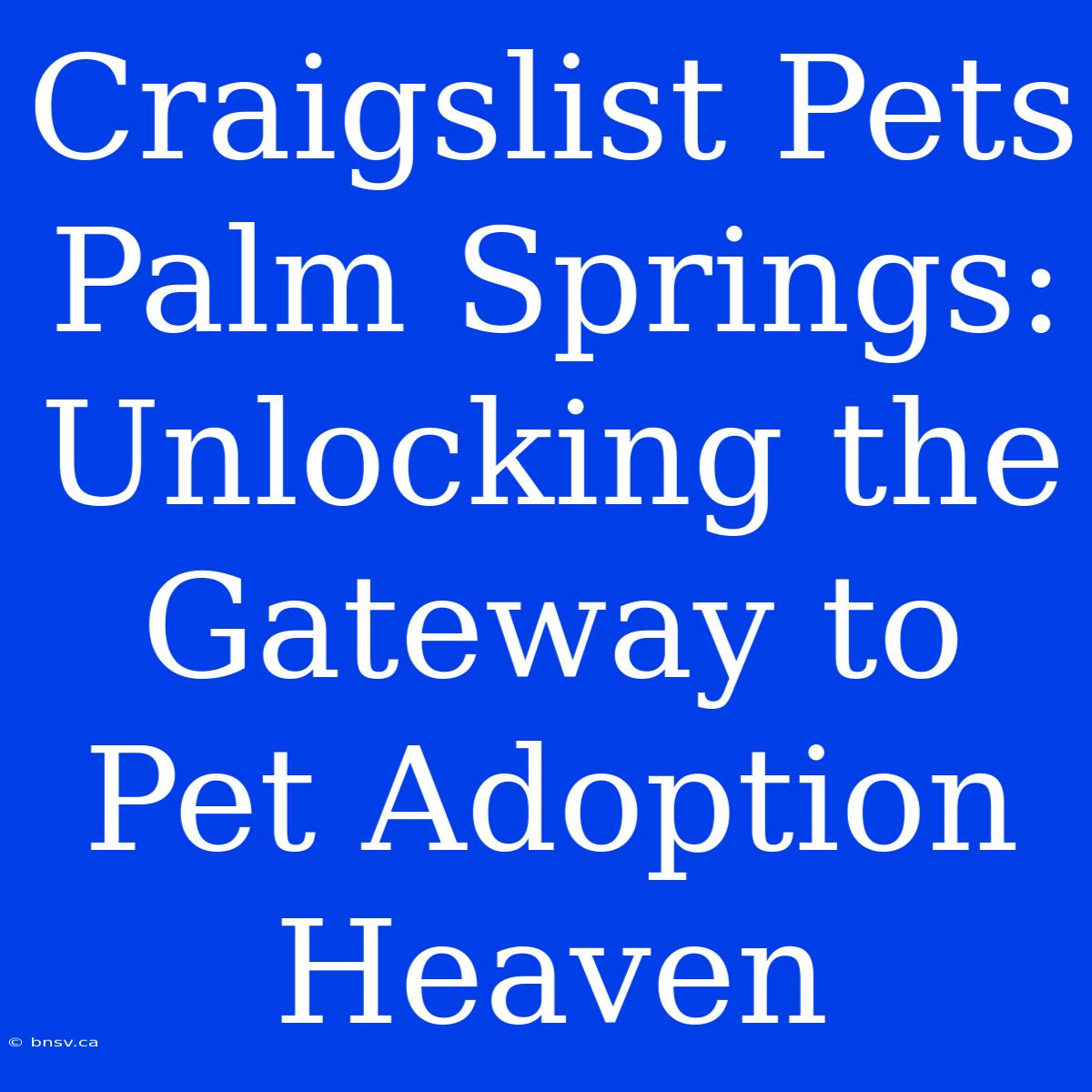 Craigslist Pets Palm Springs: Unlocking The Gateway To Pet Adoption Heaven