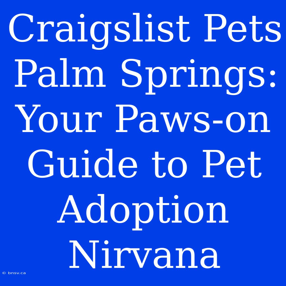 Craigslist Pets Palm Springs: Your Paws-on Guide To Pet Adoption Nirvana