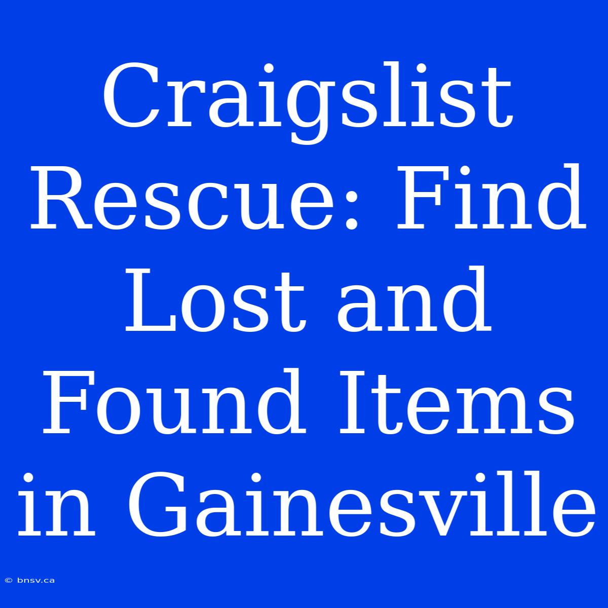 Craigslist Rescue: Find Lost And Found Items In Gainesville