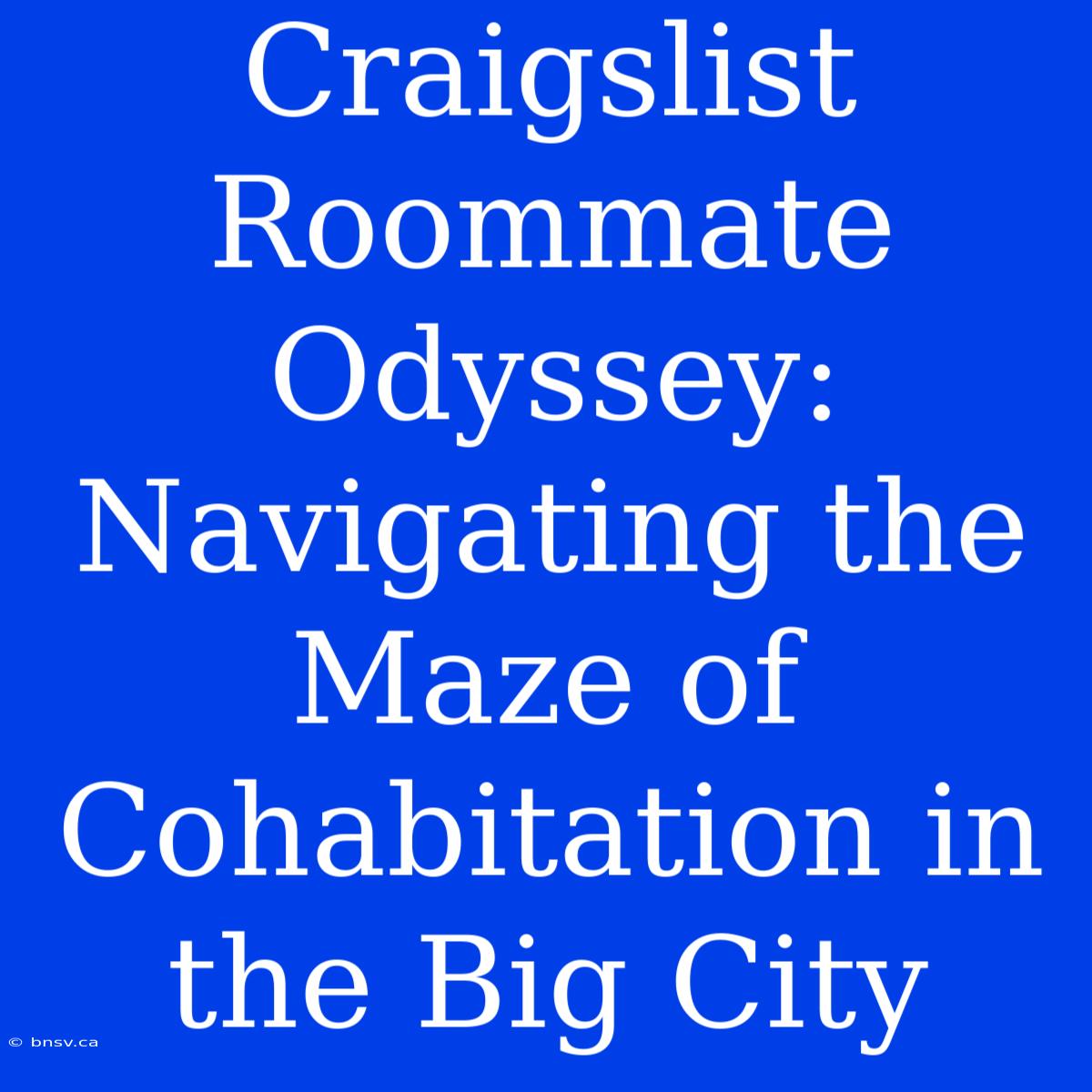 Craigslist Roommate Odyssey: Navigating The Maze Of Cohabitation In The Big City