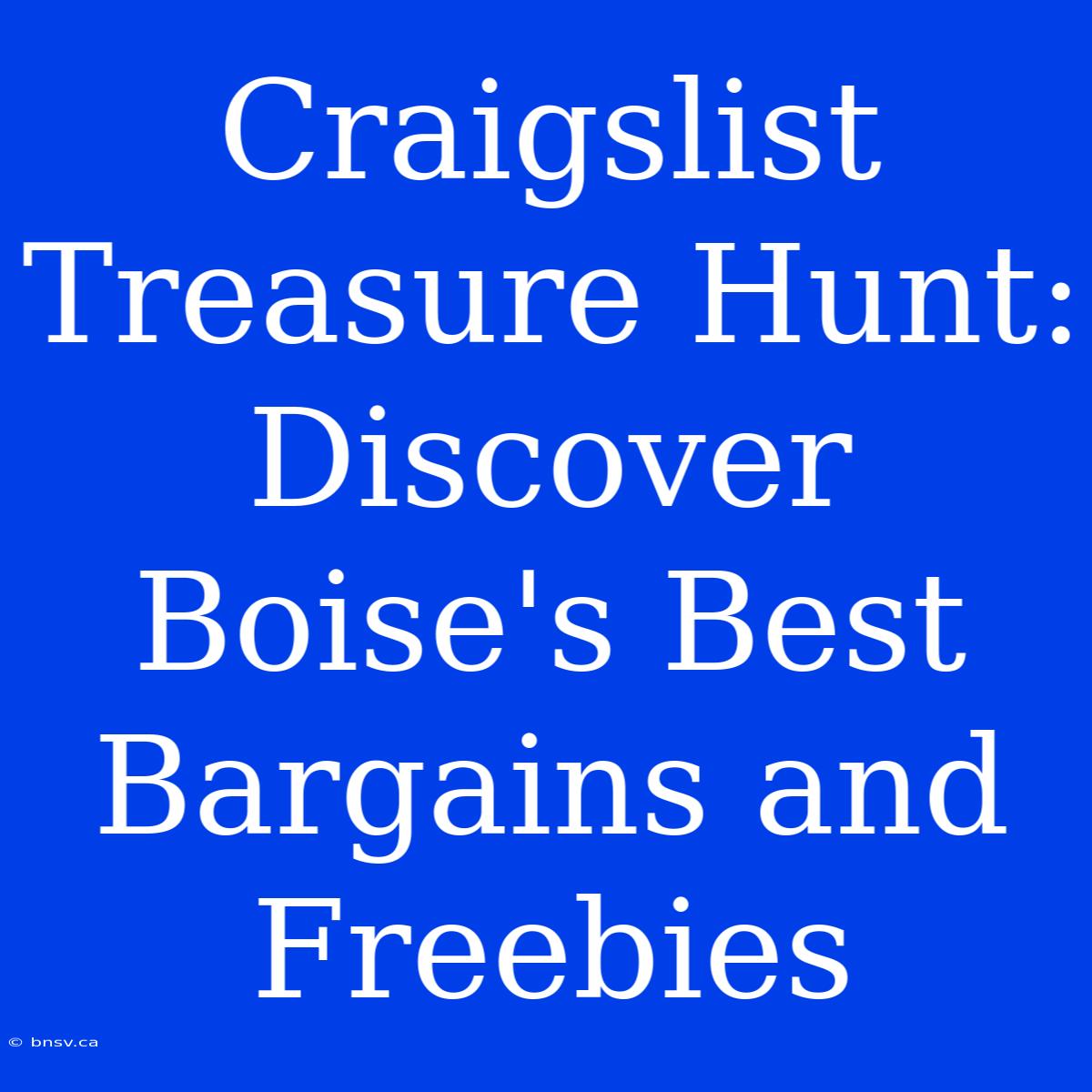 Craigslist Treasure Hunt: Discover Boise's Best Bargains And Freebies