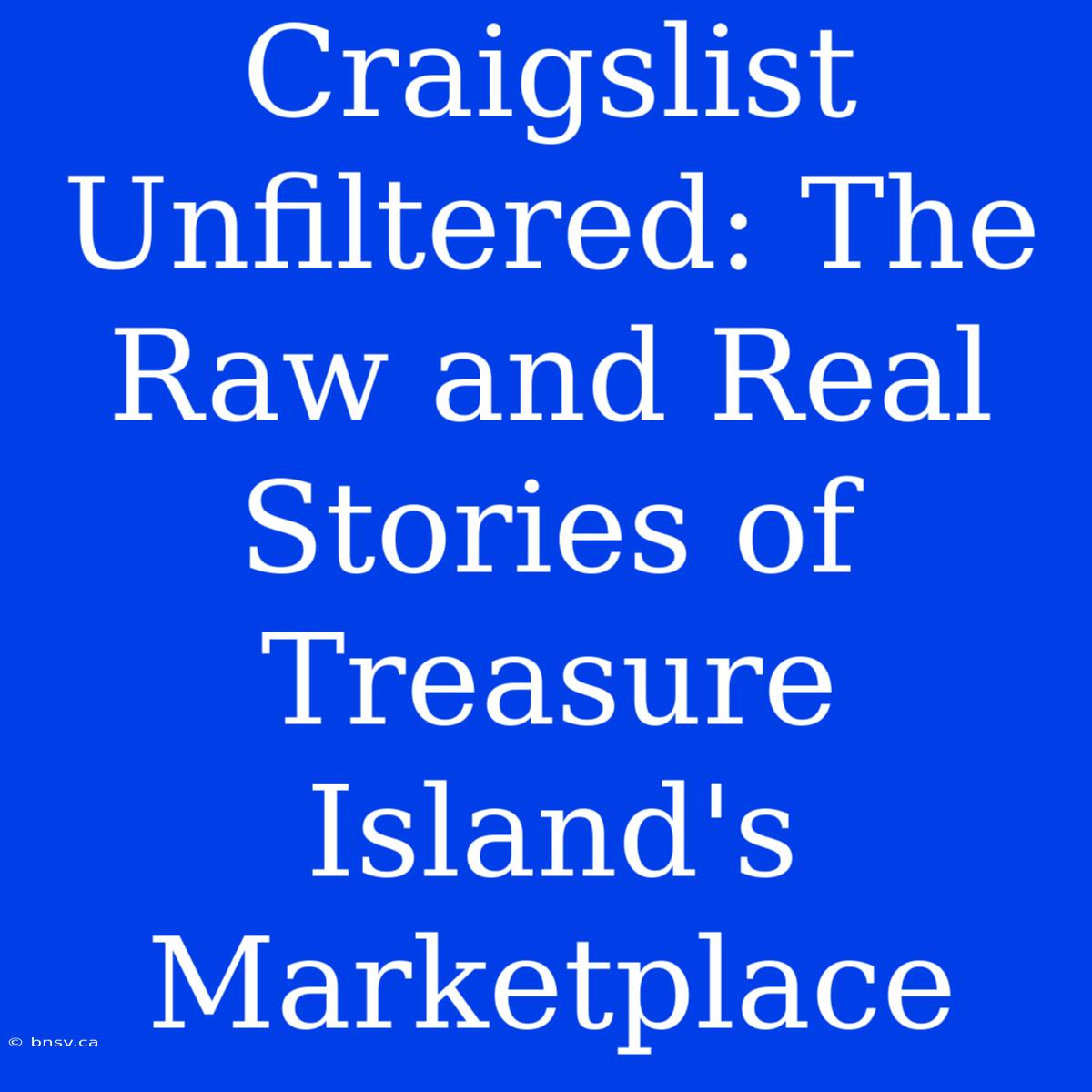 Craigslist Unfiltered: The Raw And Real Stories Of Treasure Island's Marketplace