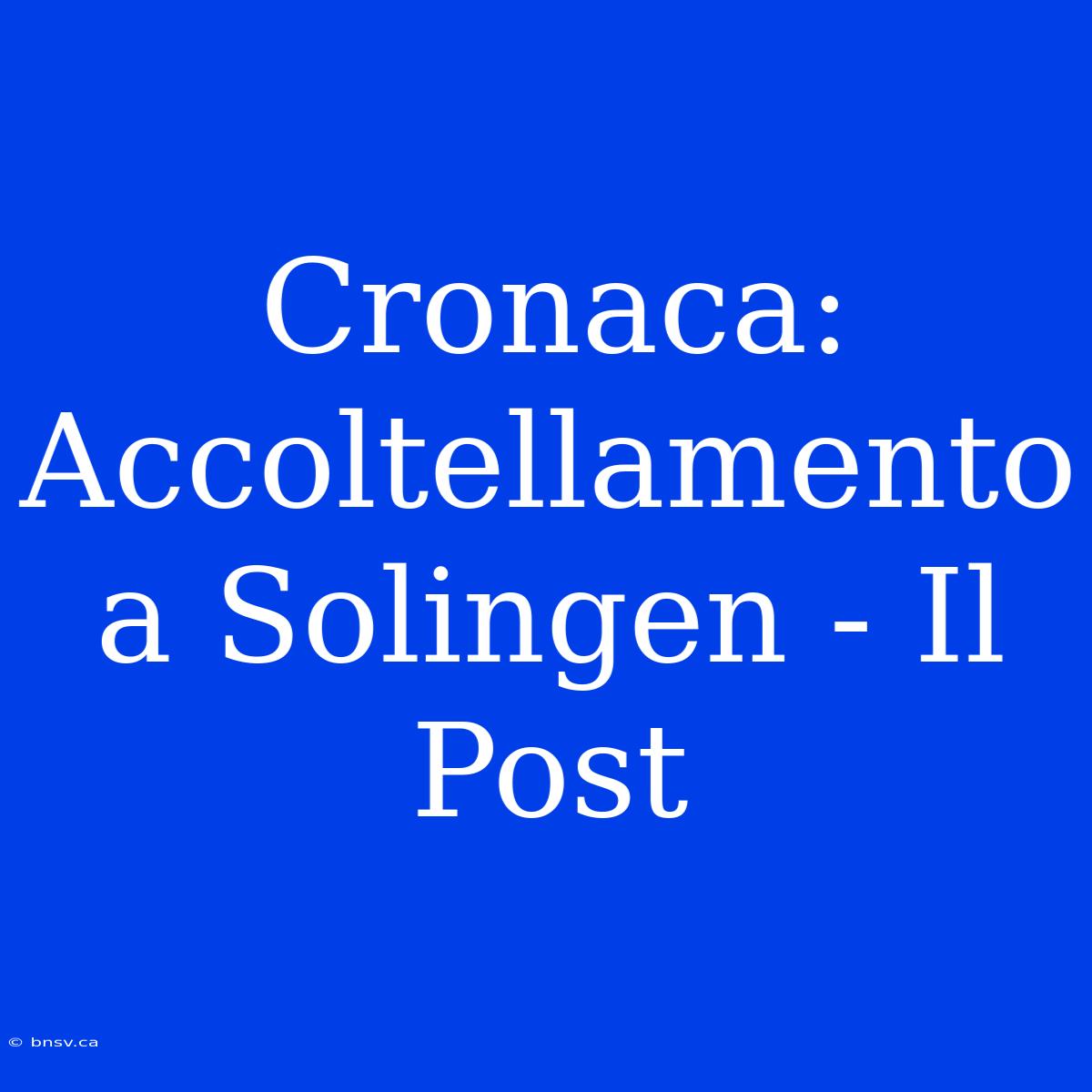 Cronaca: Accoltellamento A Solingen - Il Post