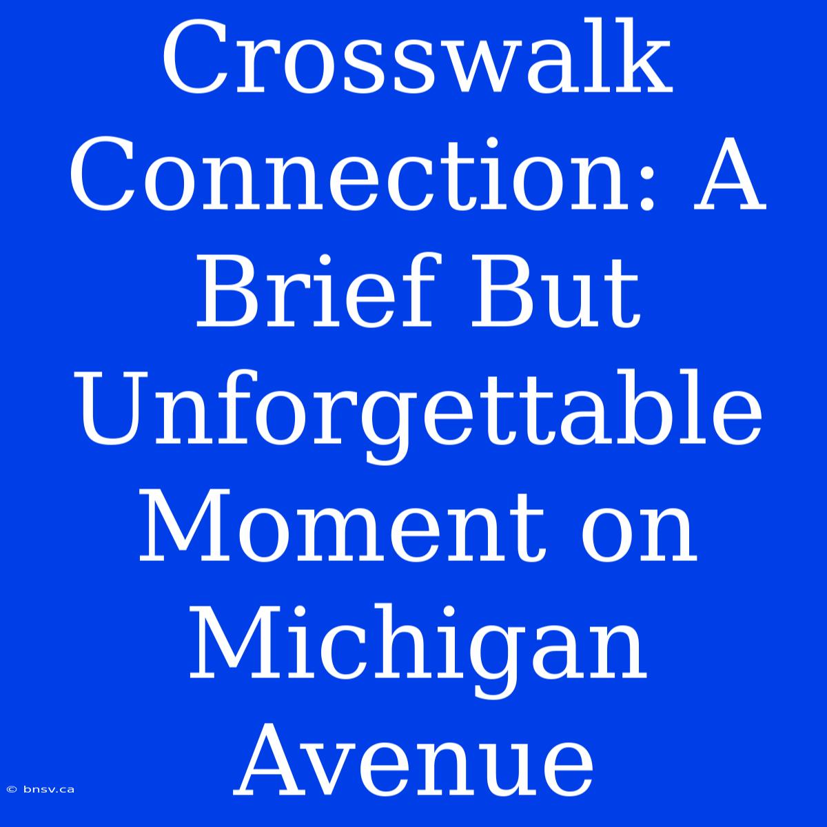 Crosswalk Connection: A Brief But Unforgettable Moment On Michigan Avenue