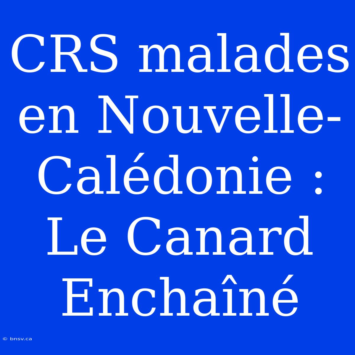 CRS Malades En Nouvelle-Calédonie : Le Canard Enchaîné