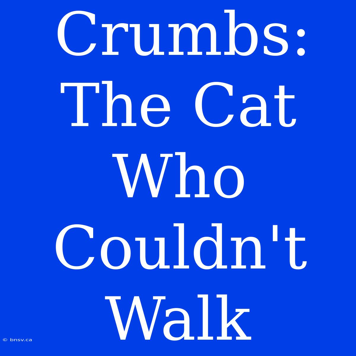 Crumbs: The Cat Who Couldn't Walk