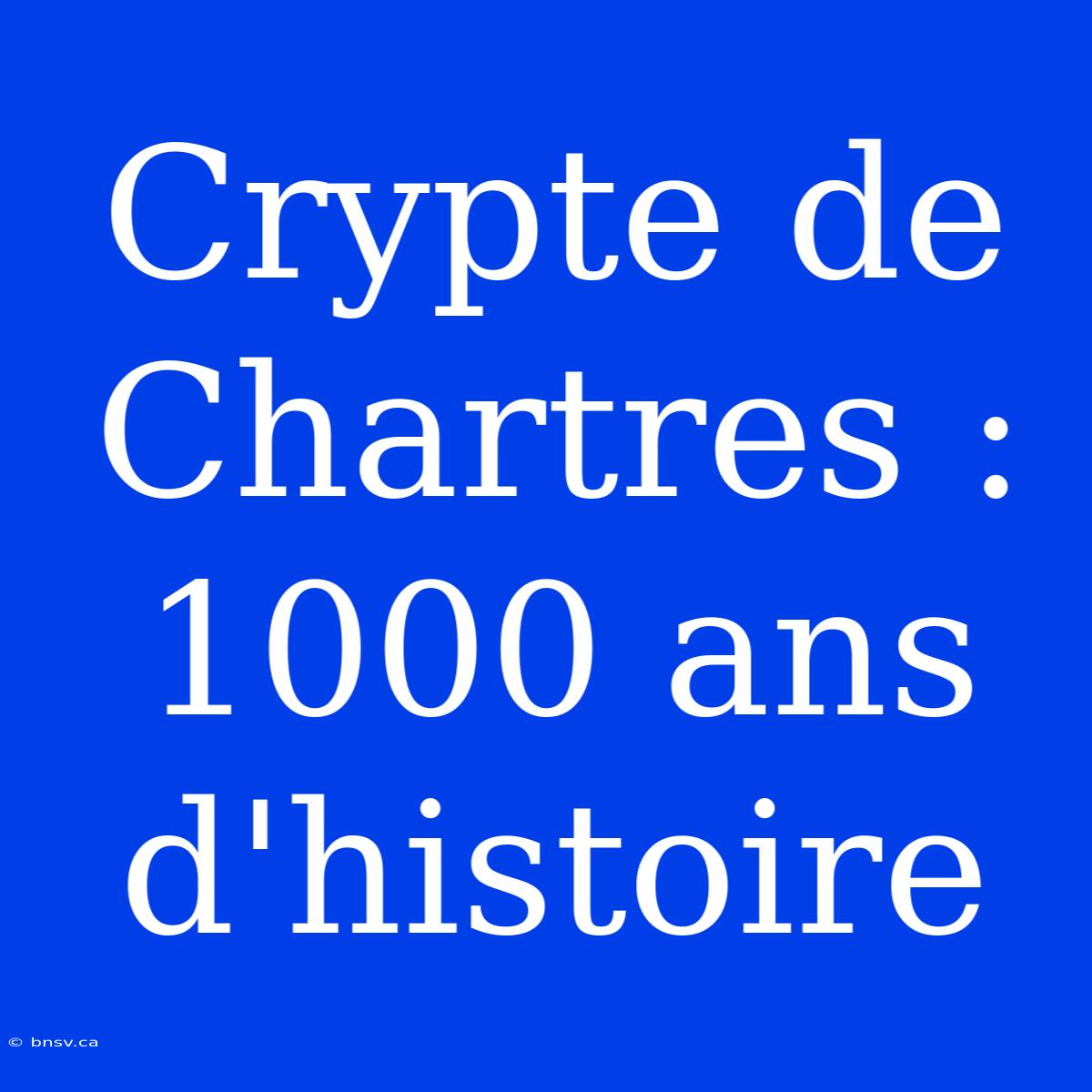 Crypte De Chartres : 1000 Ans D'histoire