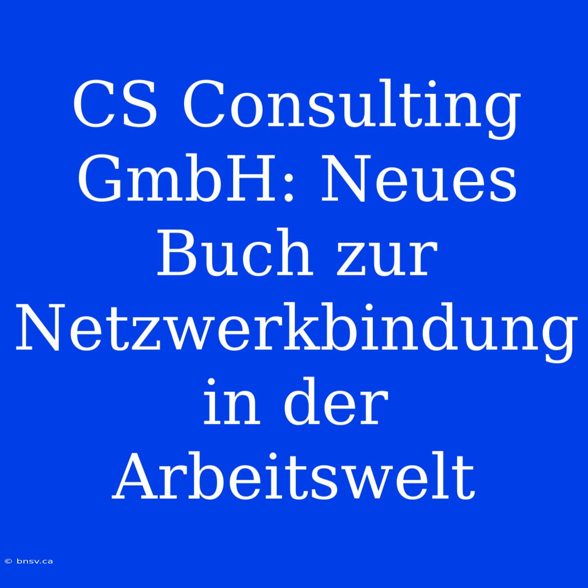 CS Consulting GmbH: Neues Buch Zur Netzwerkbindung In Der Arbeitswelt