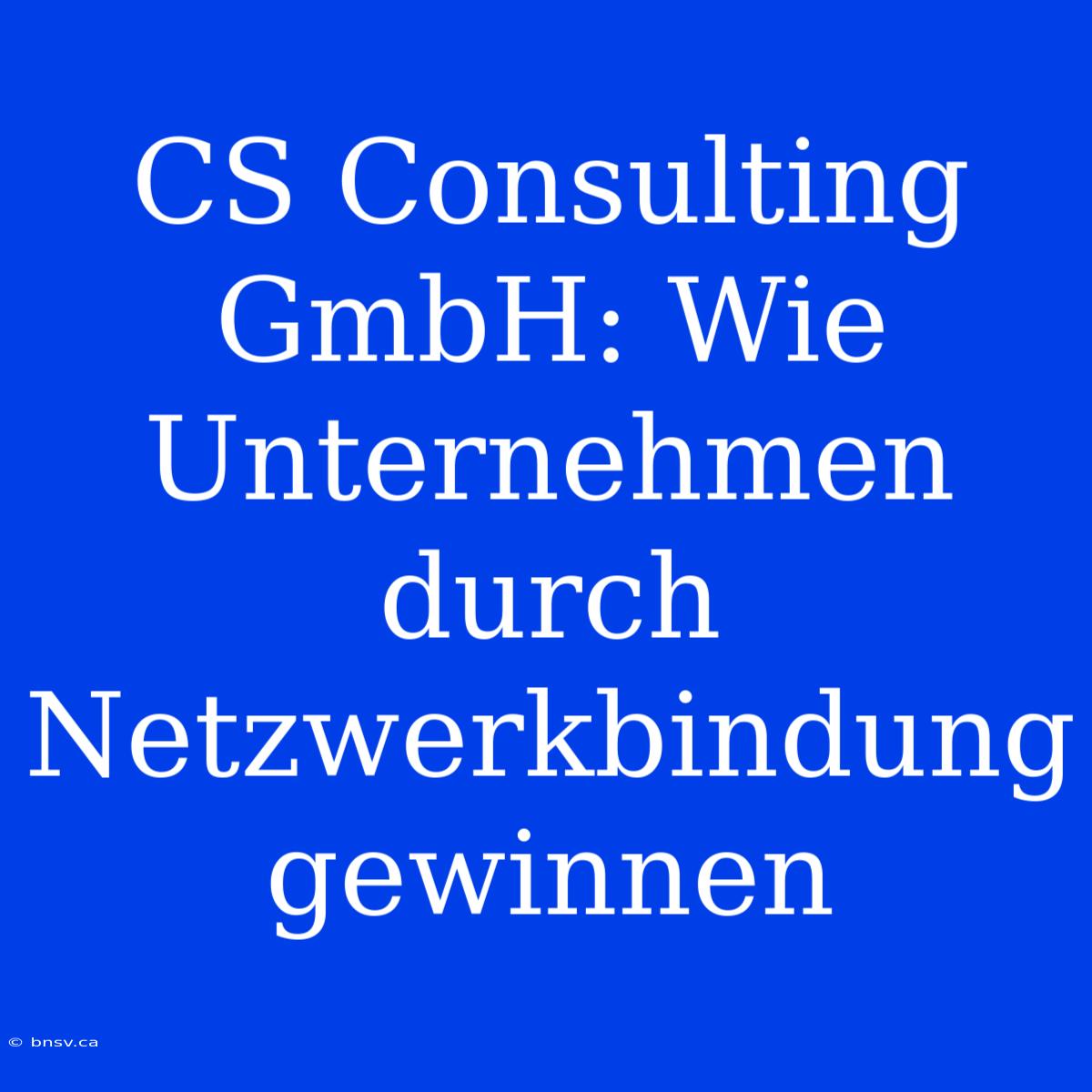 CS Consulting GmbH: Wie Unternehmen Durch Netzwerkbindung Gewinnen