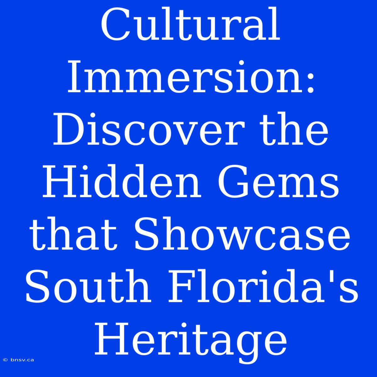 Cultural Immersion: Discover The Hidden Gems That Showcase South Florida's Heritage