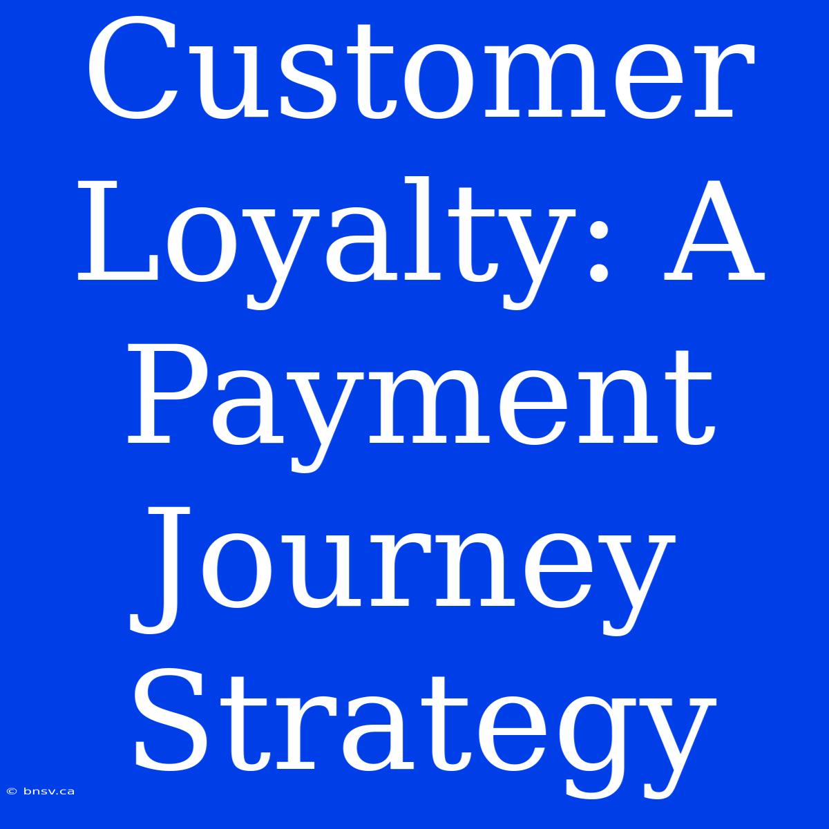 Customer Loyalty: A Payment Journey Strategy