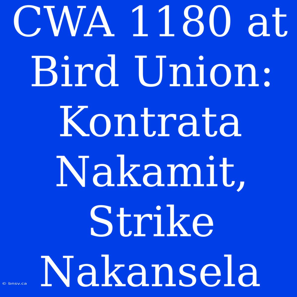 CWA 1180 At Bird Union: Kontrata Nakamit, Strike Nakansela